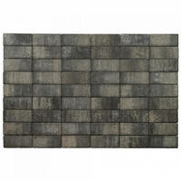  Брусчатка Braer Прямоугольник ColorMix 200х100х40мм цвет Вечер: внешний вид